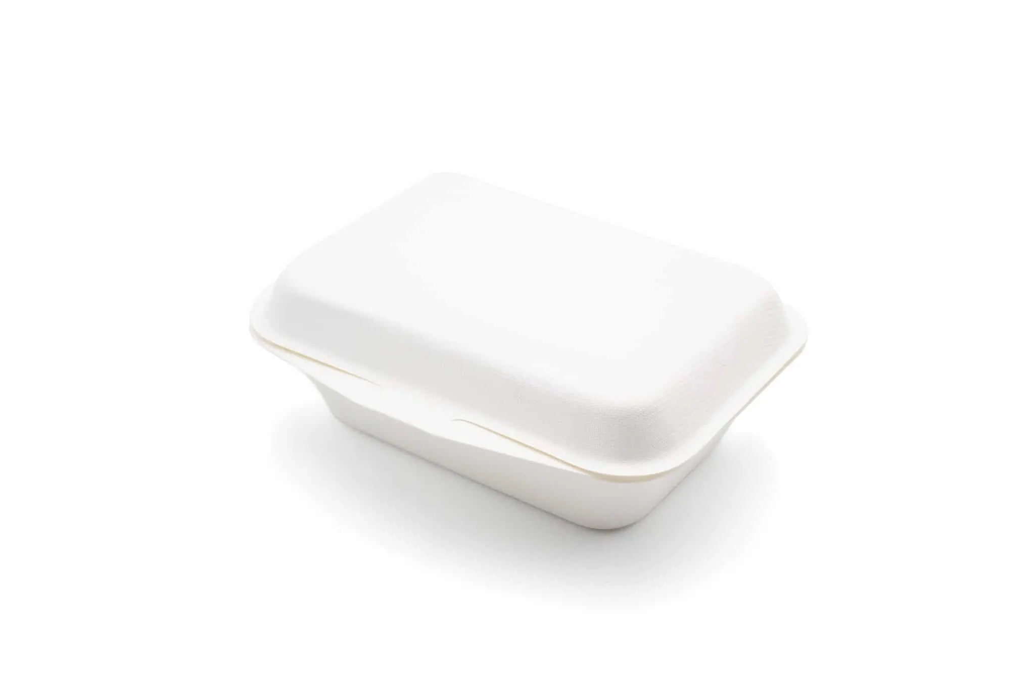 Bagasse BHB9 Flat Lid Eco Boxes (N9)