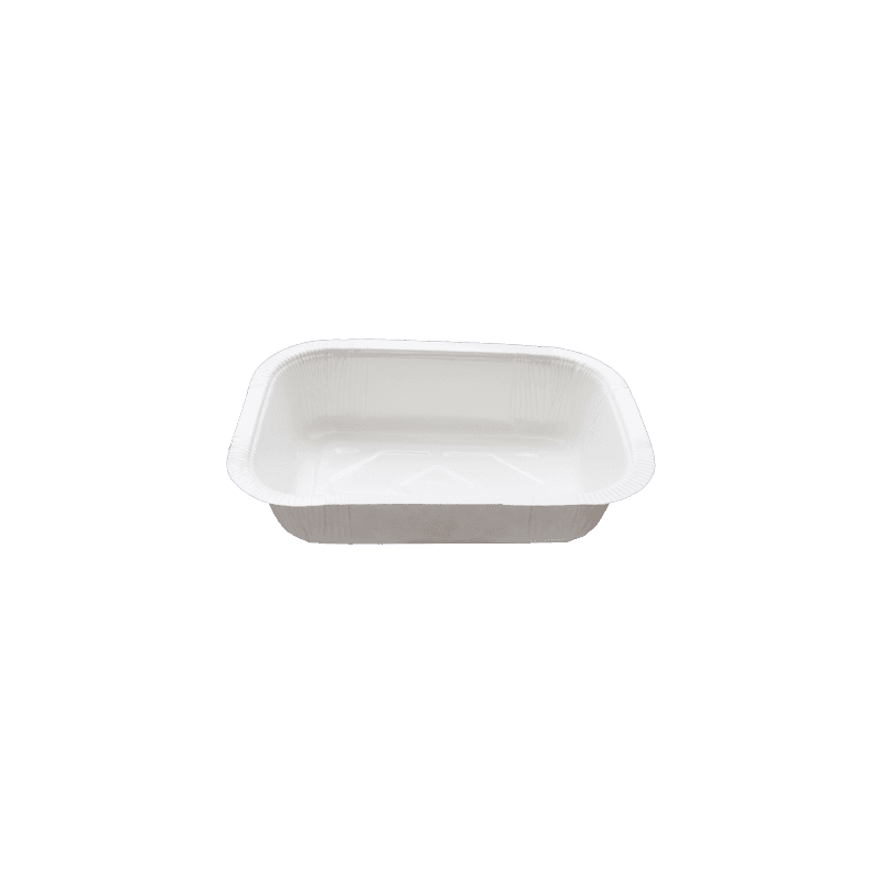 BP6 Tray